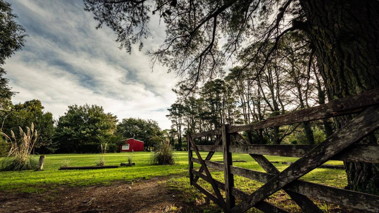 B&B Tandil - NomeolvidesMás - Bed and Breakfast Tandil