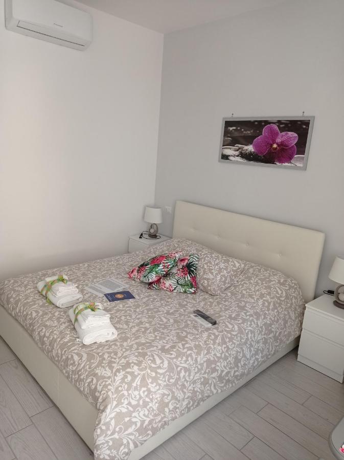 B&B Civitavecchia - B&B La Palmetta - Bed and Breakfast Civitavecchia