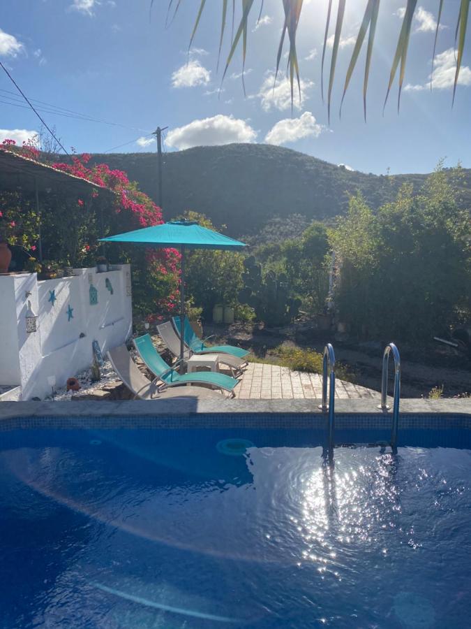 Country guest house with pool - B&B
