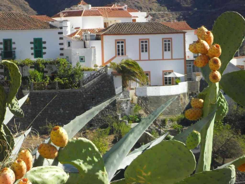 B&B Tejeda - Casa Rural Las Cáscaras Tejeda Gran Canaria - Bed and Breakfast Tejeda