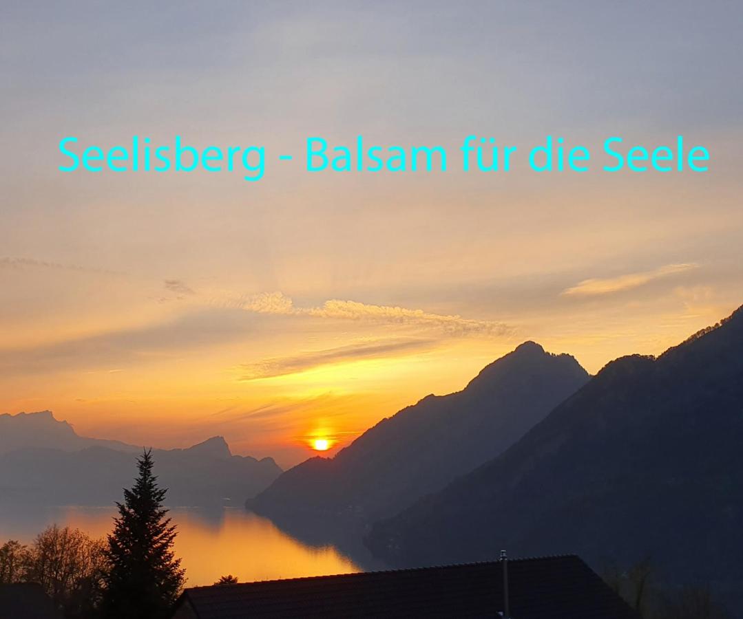 Appartement Seelewärmerli - Balsam für Ihre Seele - B&B Seelisberg