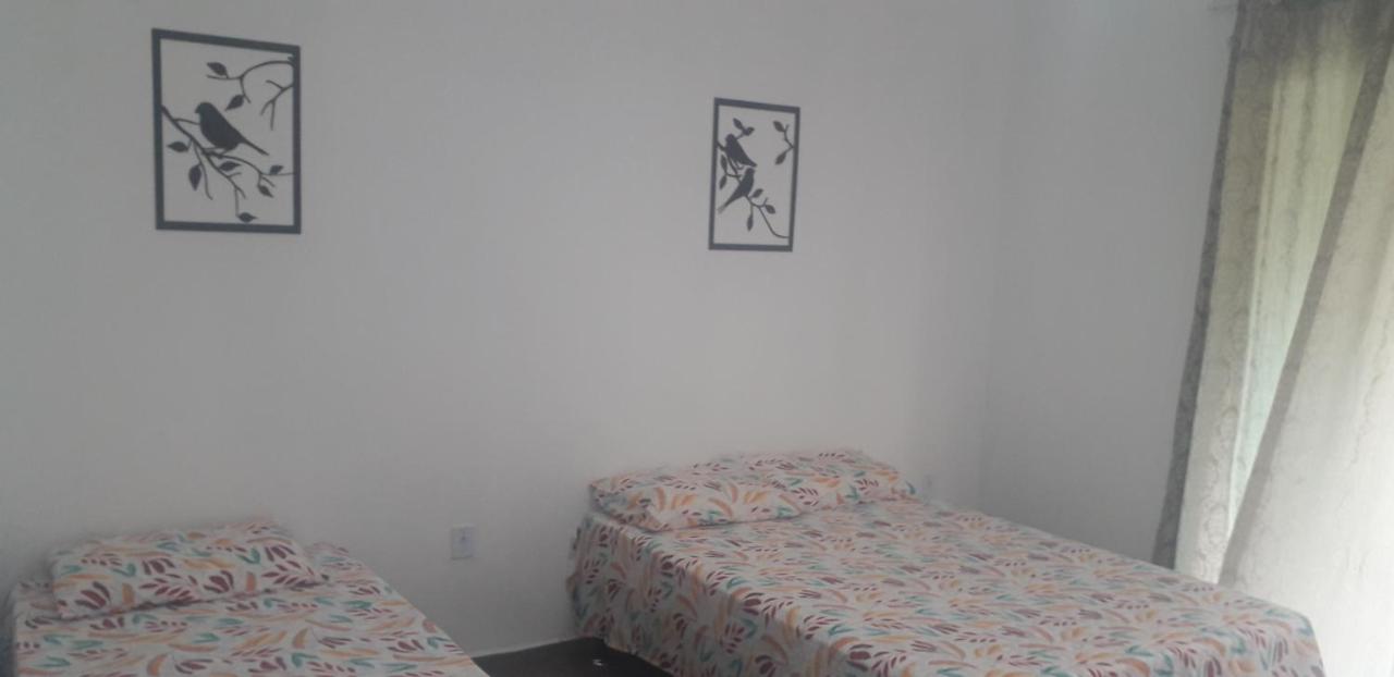 Suite Estándar