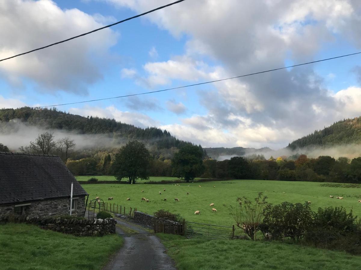 B&B Betws-y-Coed - Tyddyn Bach Barn - Bed and Breakfast Betws-y-Coed