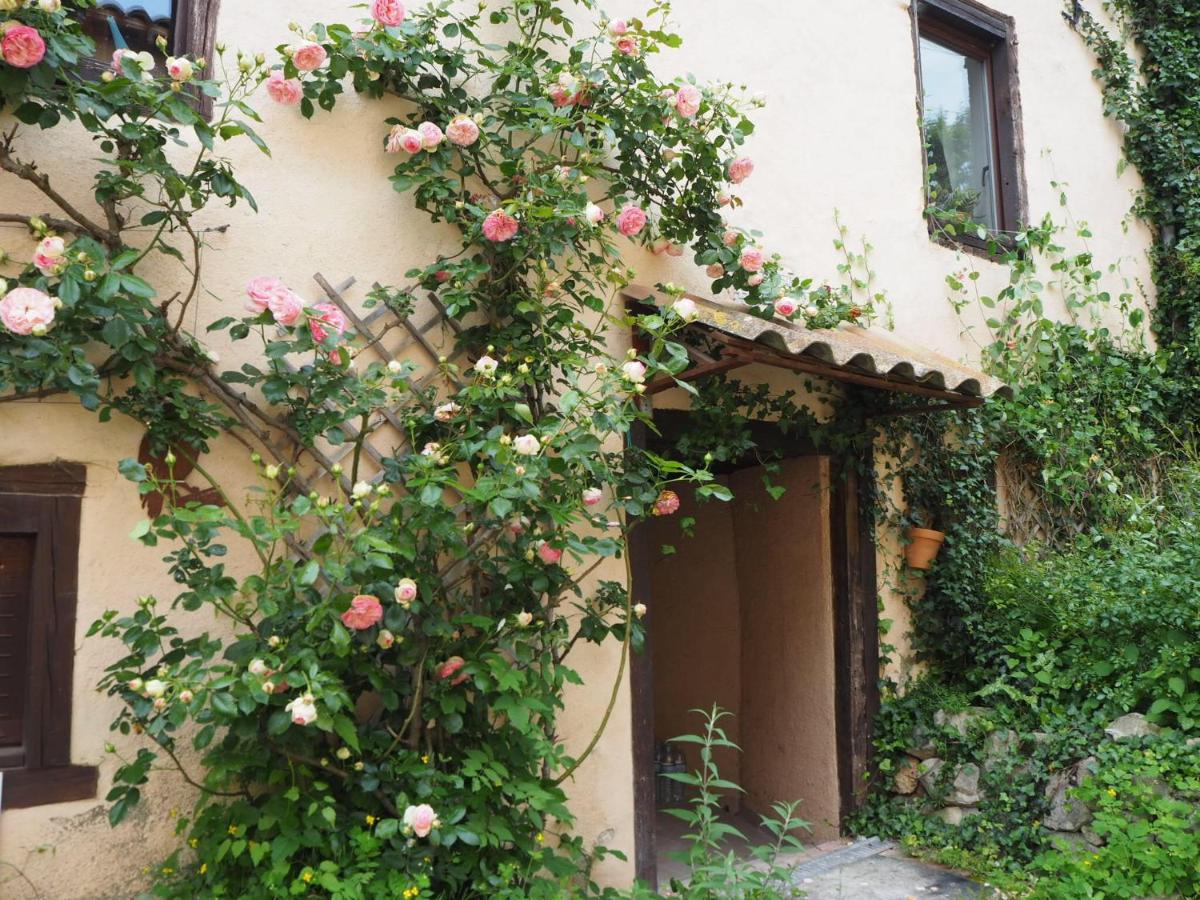 Gîte Tanagra : Maison avec piscine et vue exceptionnelle - B&B