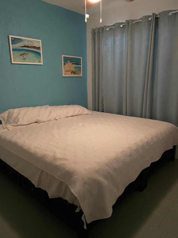 Appartement 1 Chambre