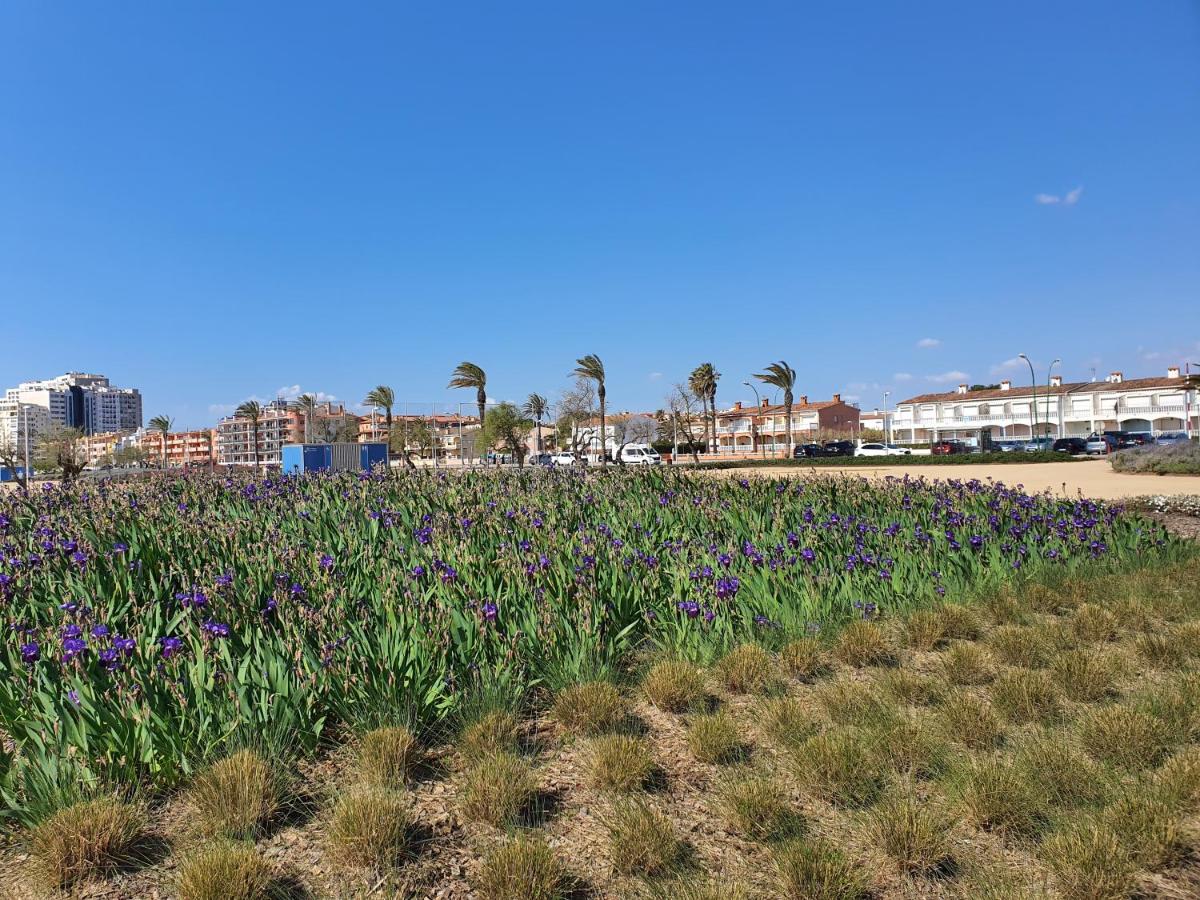 ESTUDIO VIOLET BEACH - B&B