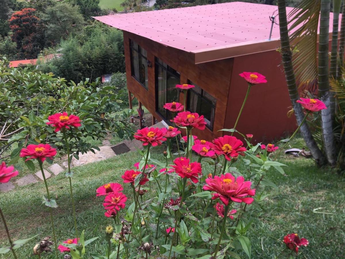 B&B Cartago - Navarro mountain - Bed and Breakfast Cartago