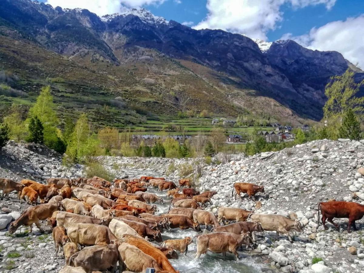 UP BENASQUE Borda Albar - B&B Benasque