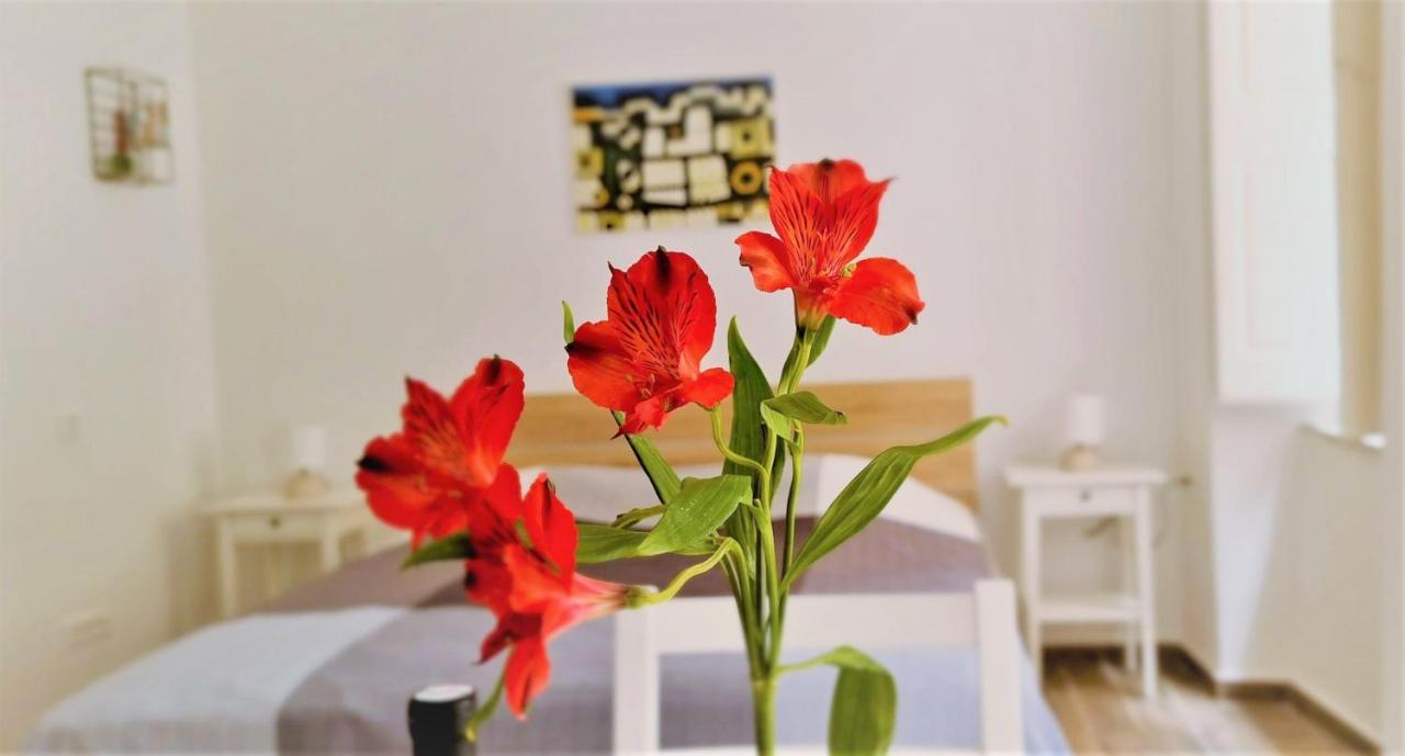 Prijeko relax apartment - B&B Ragusa