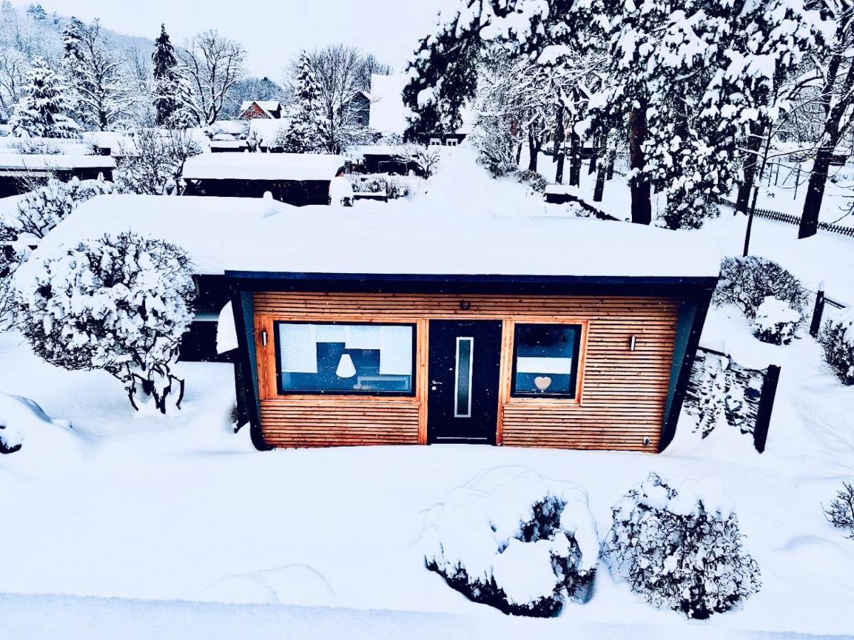 Das Ferienhaus am Tiergarten - B&B