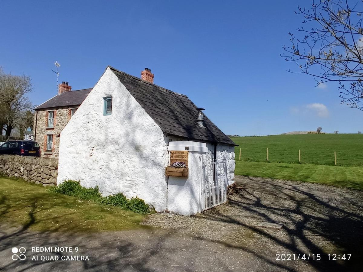Whitehill Cottage - B&B