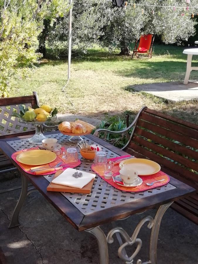 B&B Albenga - Calicantus bed and breakfast - Bed and Breakfast Albenga