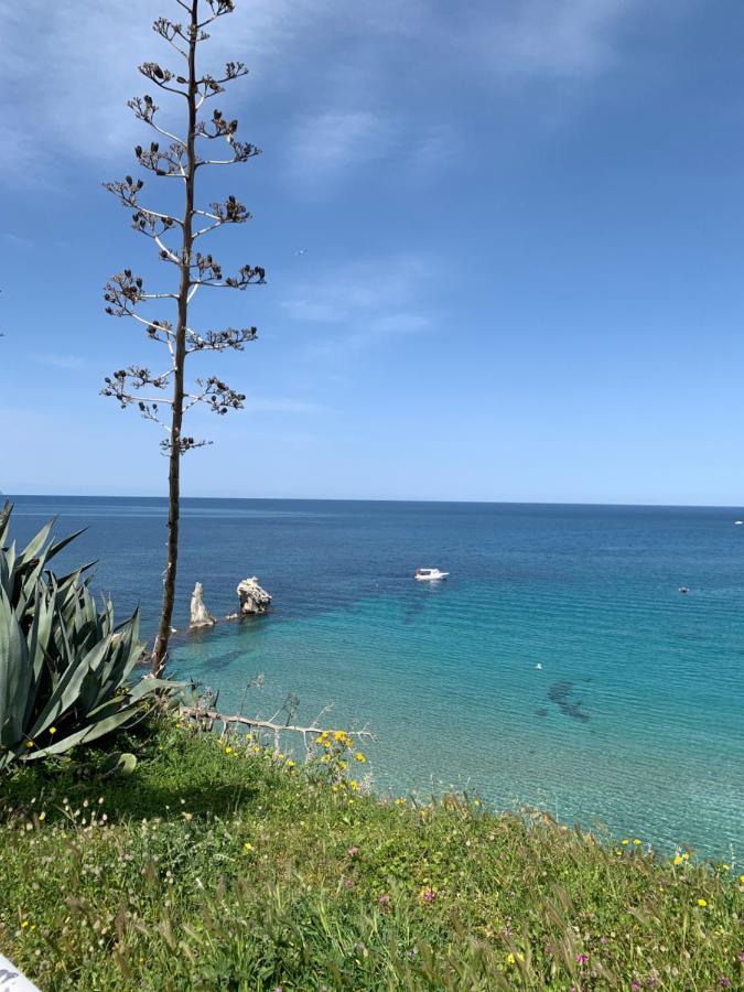 Fiori d'Arancio - B&B Terrasini