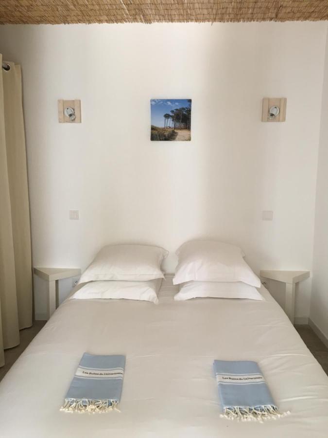 Apartment - Erdgeschoss