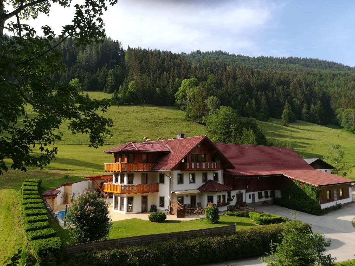 B&B Lunz am See - Ferienwohnung Hackstock - Bed and Breakfast Lunz am See