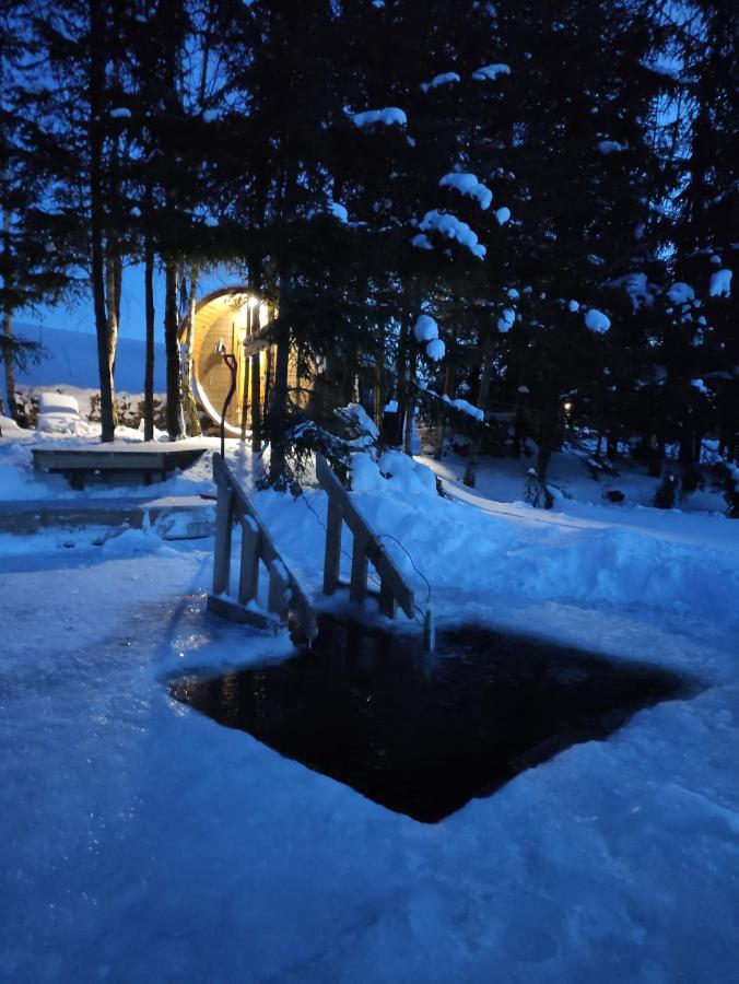 Kliukai - Bed and Breakfast Dubingiai