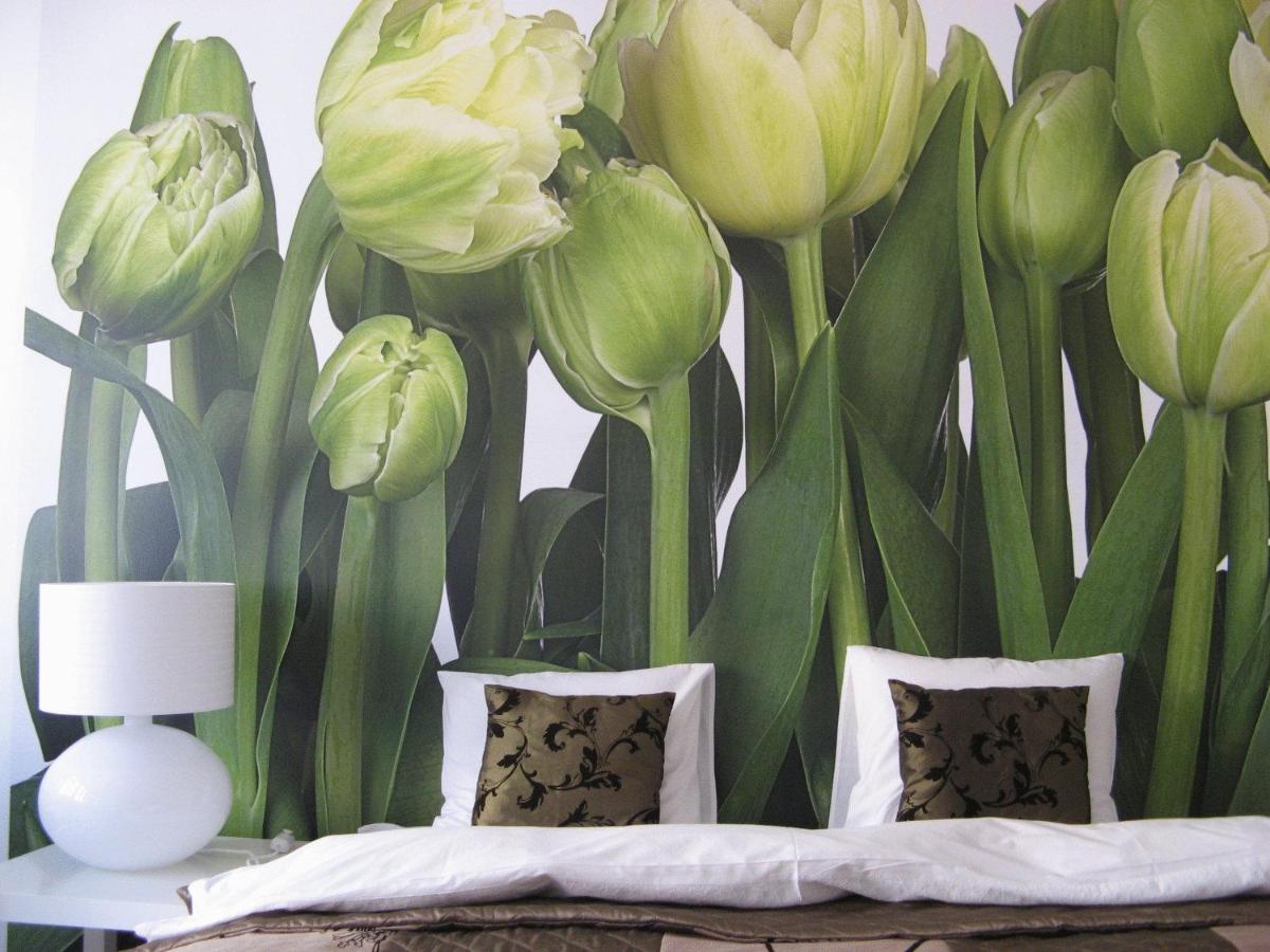 Il Sogno dei Tulipani