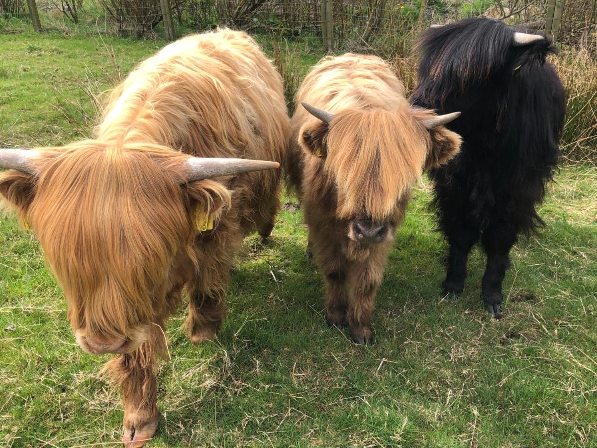 Camera Deluxe Matrimoniale con Vista Mare