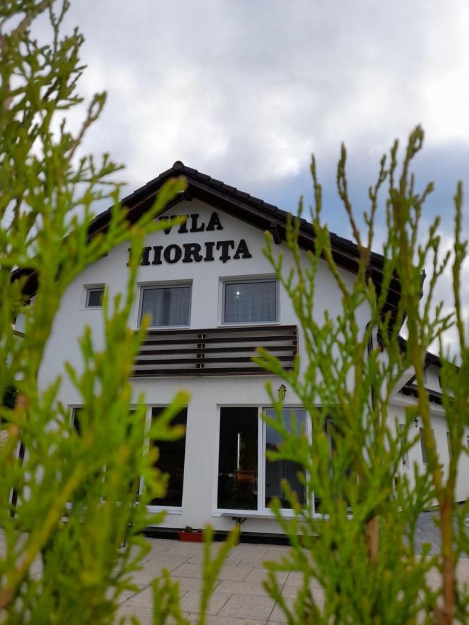 Vila Miorita - Ferienwohnung