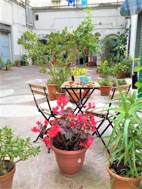 Casa Vacanze "Donna Manu', tra Stazione Centrale, Metro e Aeroporto TURISMO CULTURALE - B&B
