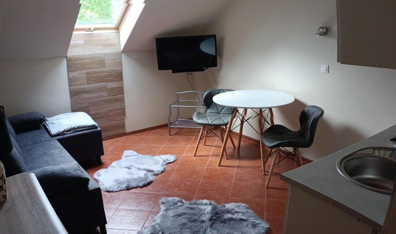 Studio with Sofa Bed