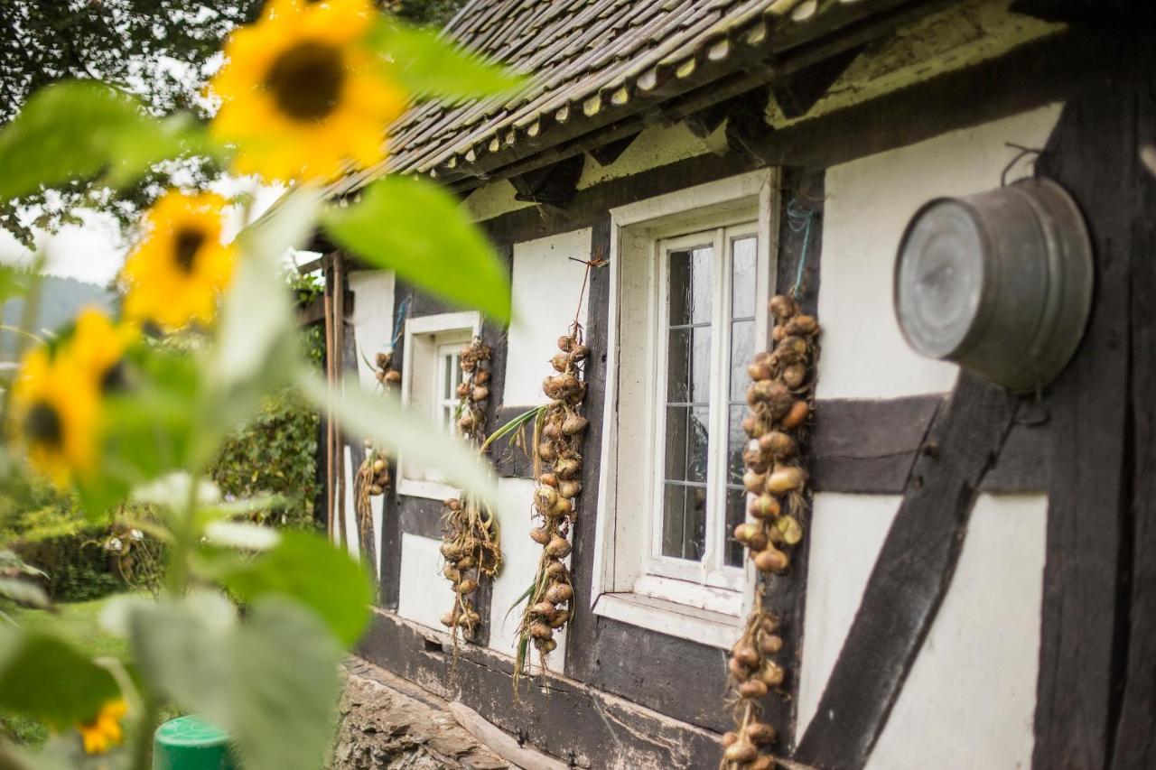 Ferienhof Richard - B&B Lennestadt