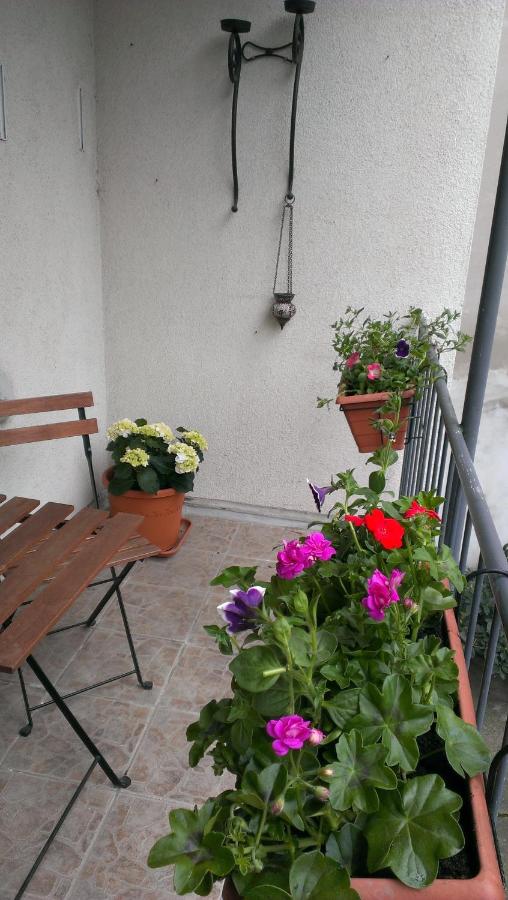 Casa Vienna - B&B Vienna