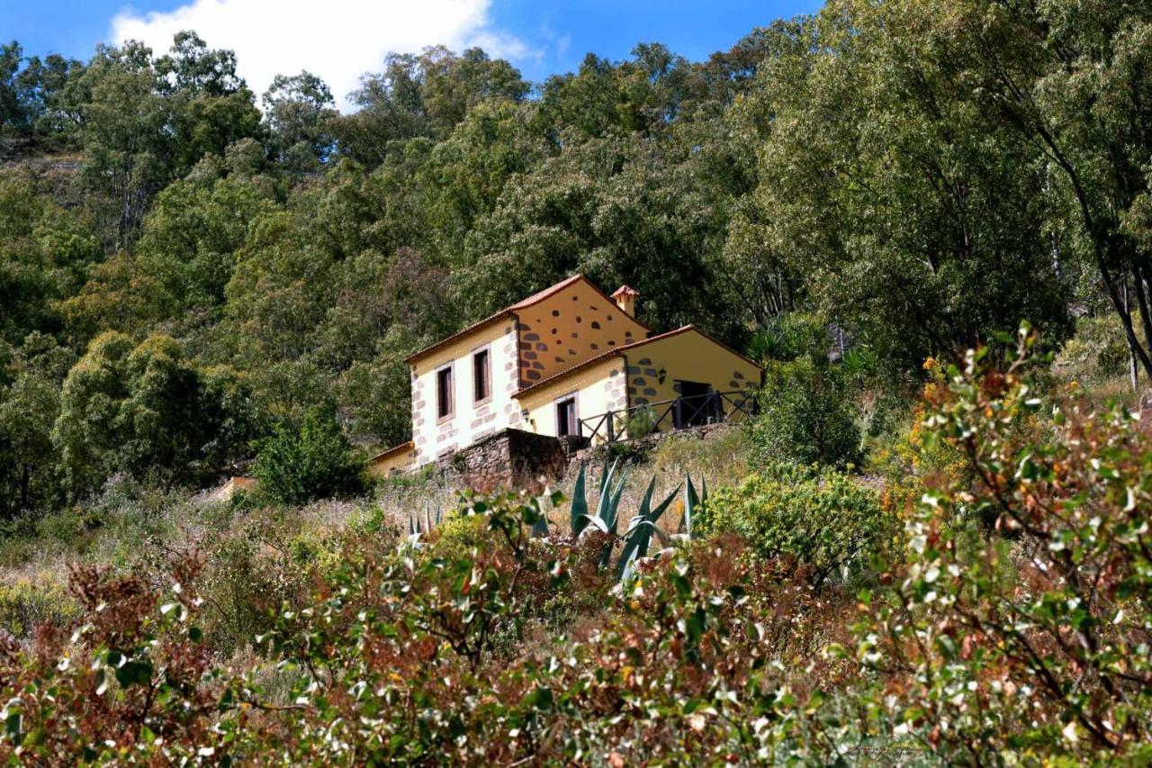 B&B Teror - Casa Rural Las Caldereras - Bed and Breakfast Teror