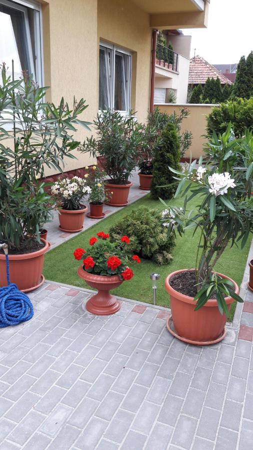 Matild Apartmanház - B&B
