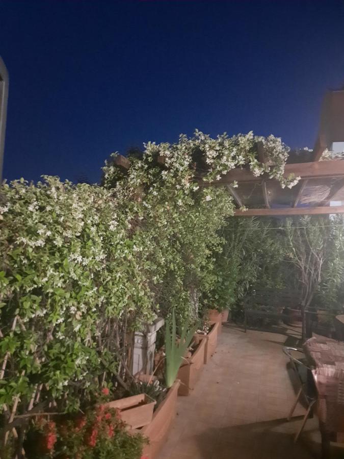 Amazing Flat with terrace - B&B