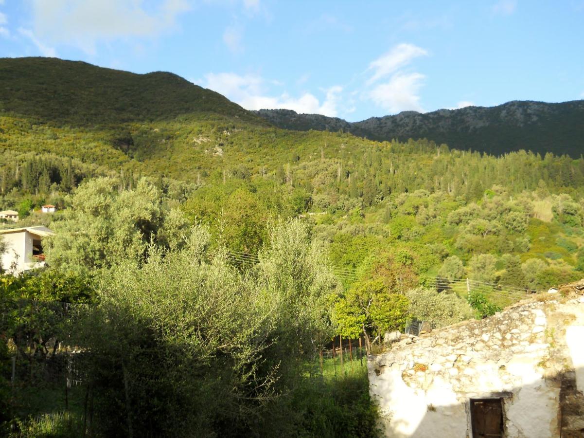 Chambre Double - Vue sur Montagne