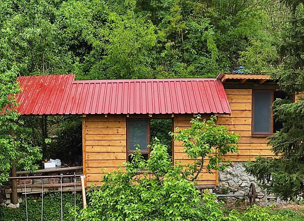 Huis met 1 Slaapkamer