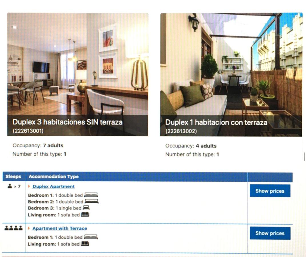 Duplex Apartment