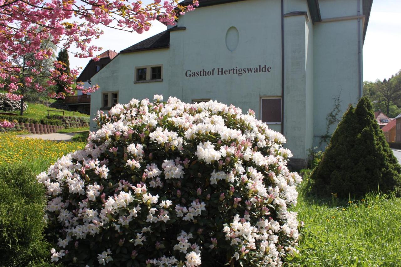 Gasthof Hertigswalde - Ferienwohnung Sebnitz