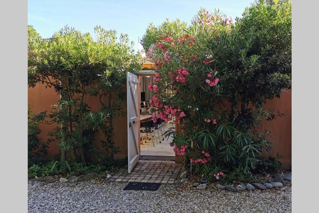 La Cabane en bord de mer Cavalaire sur mer - Ferienwohnung
