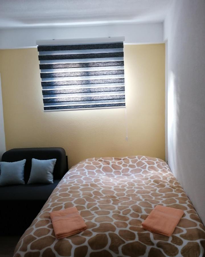 Appartement 1 Chambre