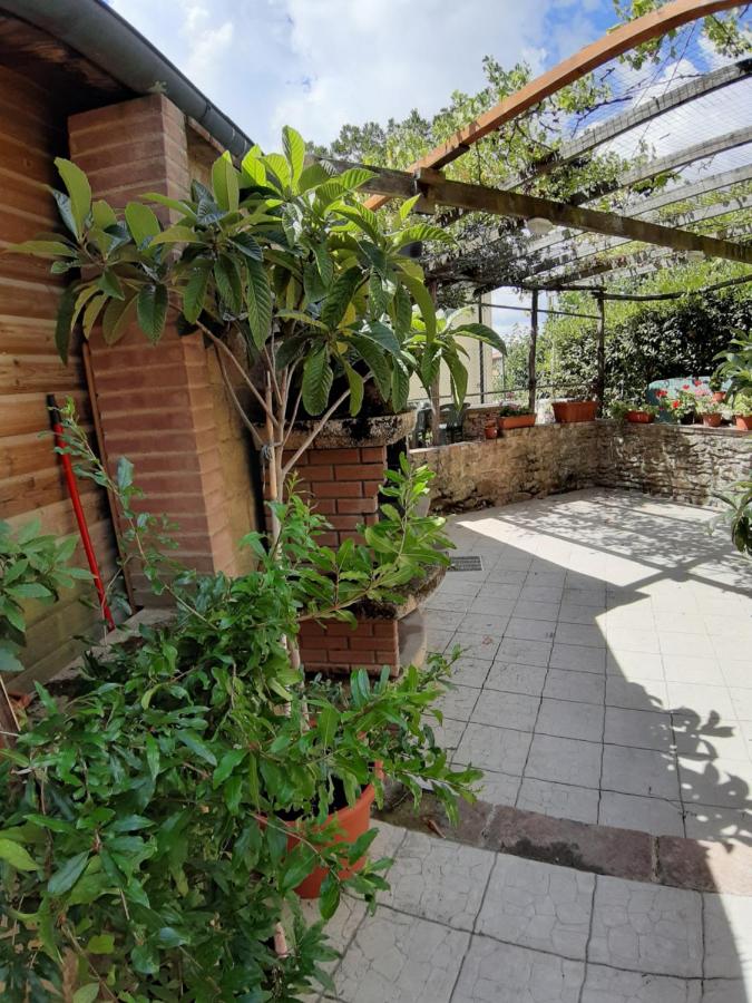 La casa in giardino - B&B