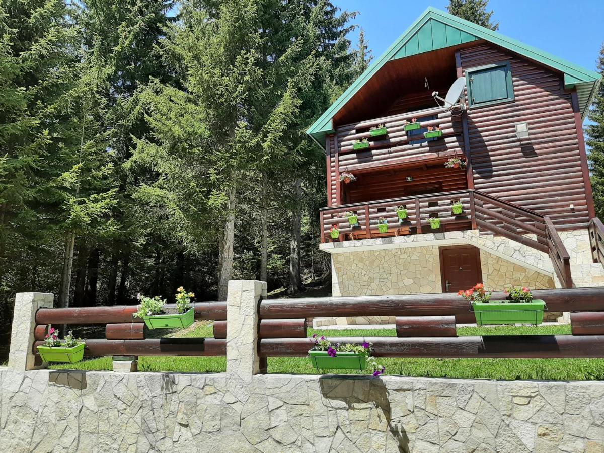 Tanjuška - B&B Žabljak