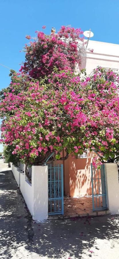 Villa Rodanthos - B&B