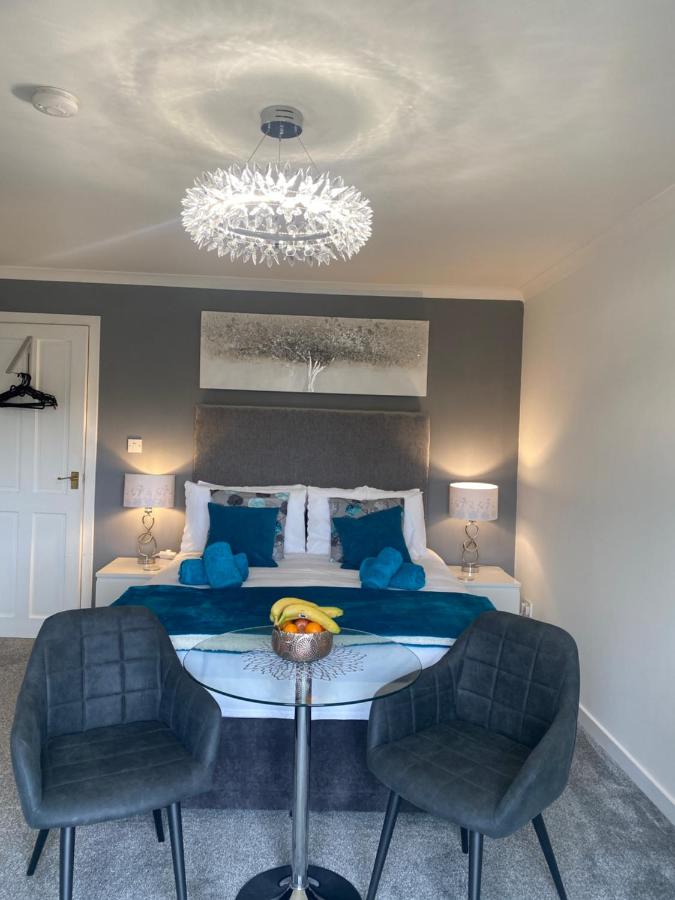 Dandelion - B&B Flashader