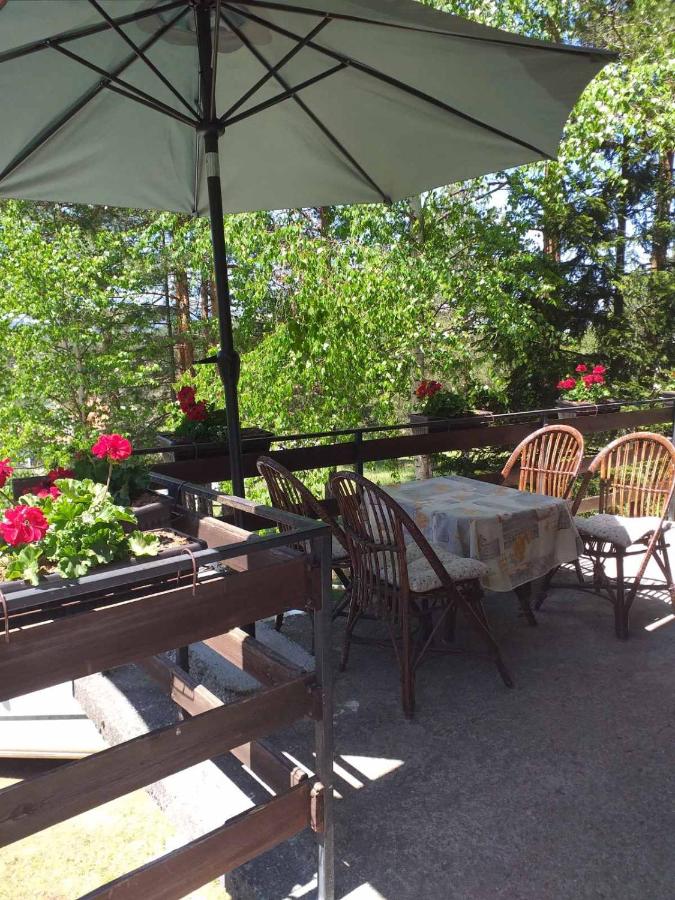 vila Borova glava - B&B
