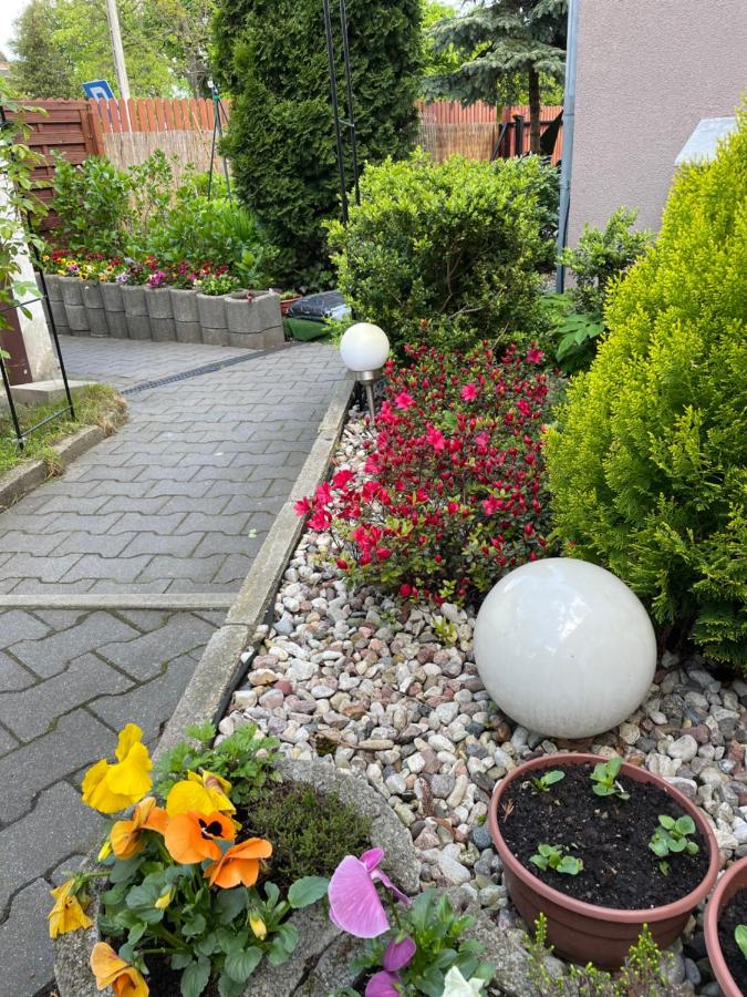 Apartament1 Tri-City Oliwa Ogród, prywatne wejście - B&B