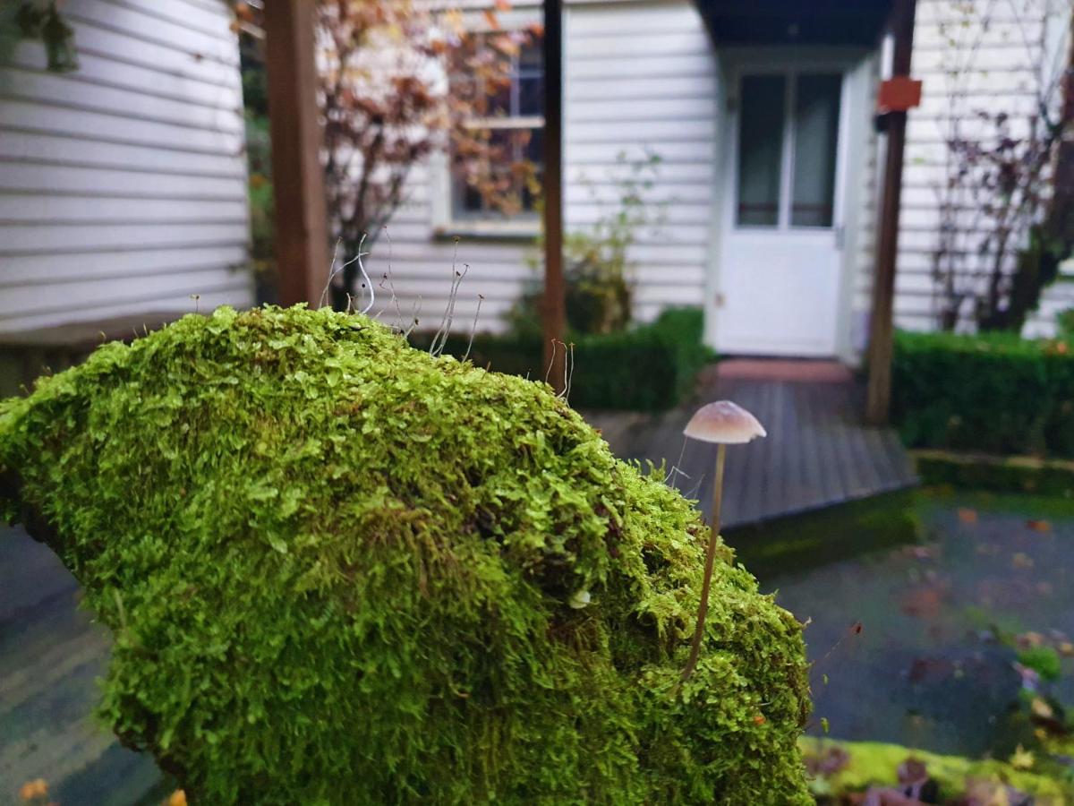 Jacomb's Cottage and Studio - B&B Walhalla