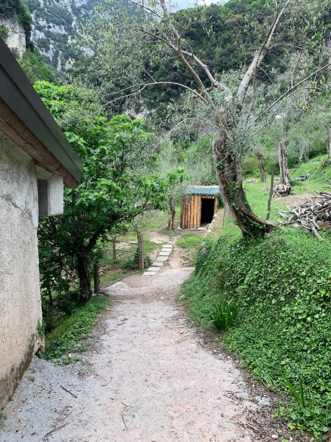 Casa Lume - B&B