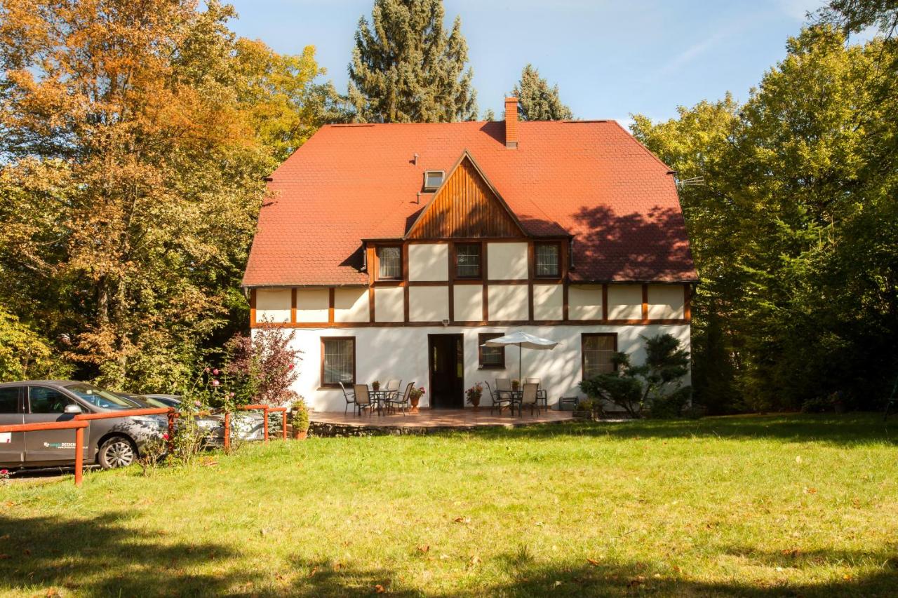 Pensjonat Pod Świerkami - B&B