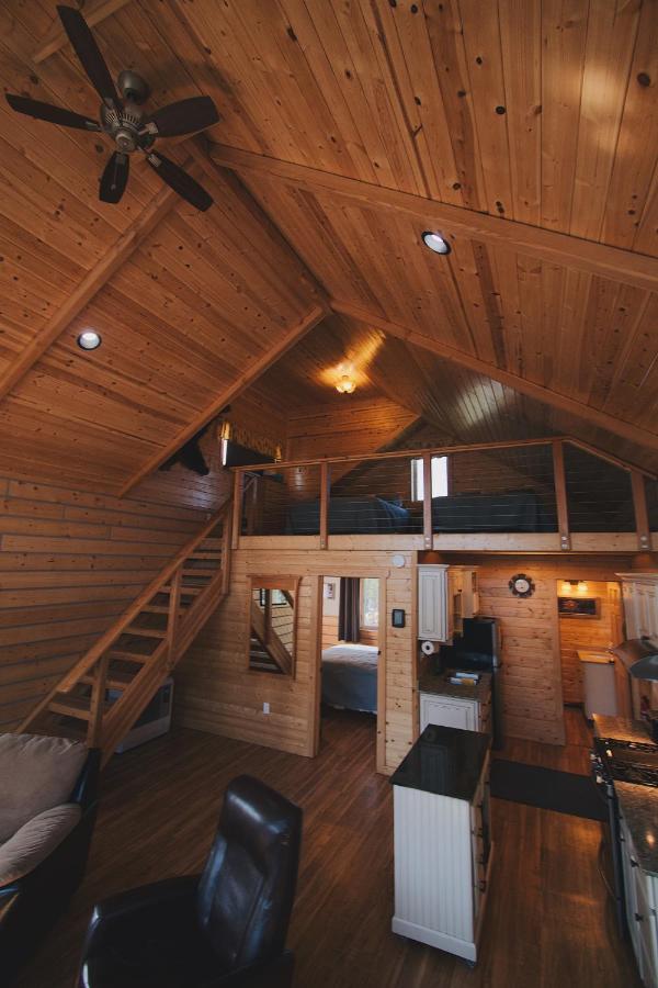 Denali Wild Stay - Bear Cabin with Hot Tub and Free Wifi, Private, sleep 6 - B&B