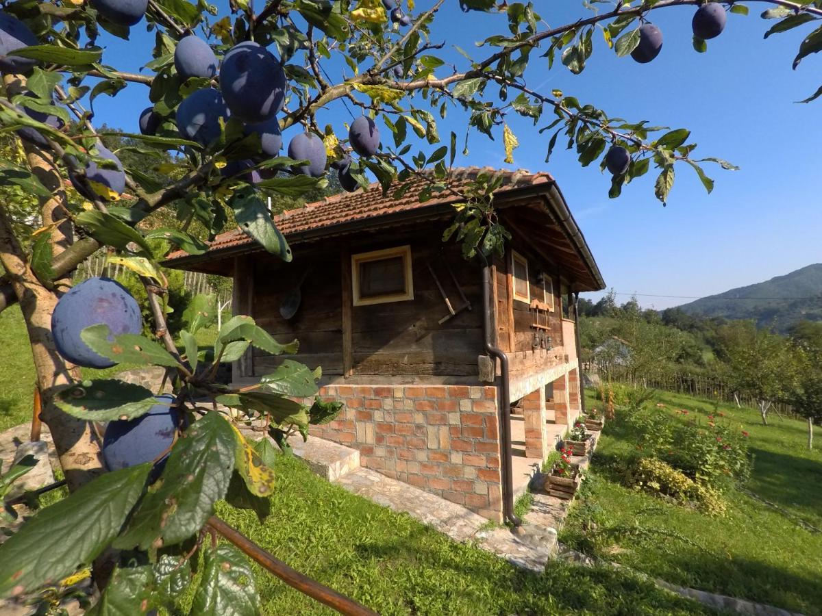 Ethno Village Bogut - B&B