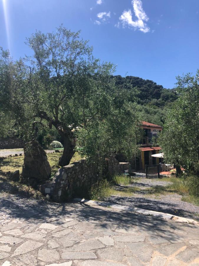 Ca di Matti - Casa Oliva - B&B