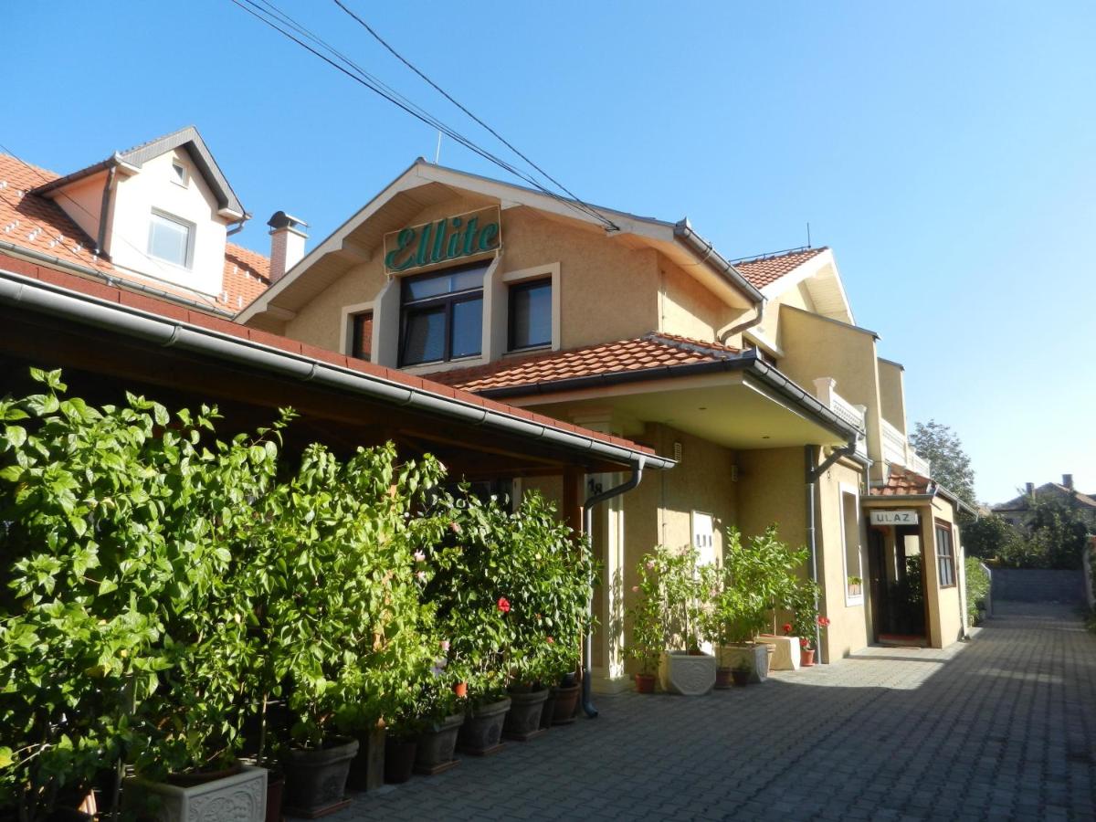 B&B Požarevac - Guesthouse Ellite - Bed and Breakfast Požarevac
