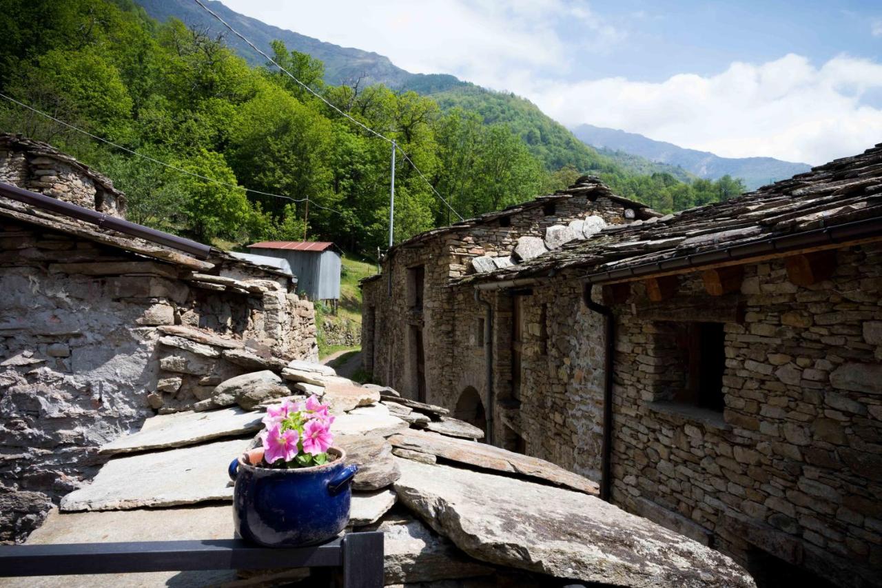 Medieval Hamlet Malpertus - B&B
